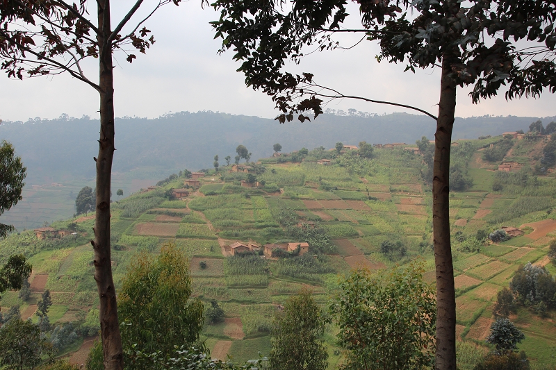 RuandaIMG_7069