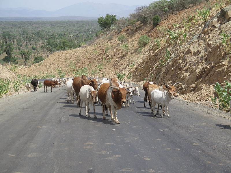 ÄthiopienIMG_0017